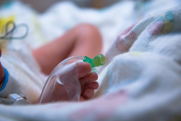 Infant foot with IV line