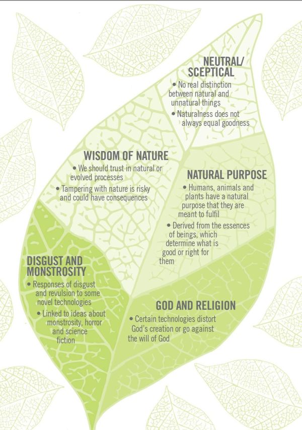 Accounts leaf diagram