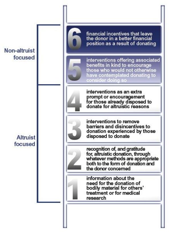 Intervention ladder