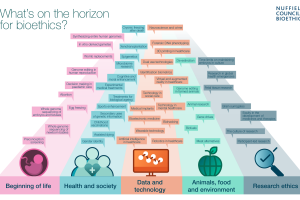 Horizon scan infographic 2020