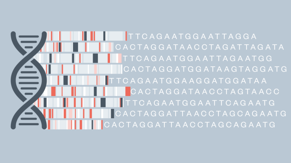 Cover illustration DNAI Genomics interim report e1693406501598 1104x6202